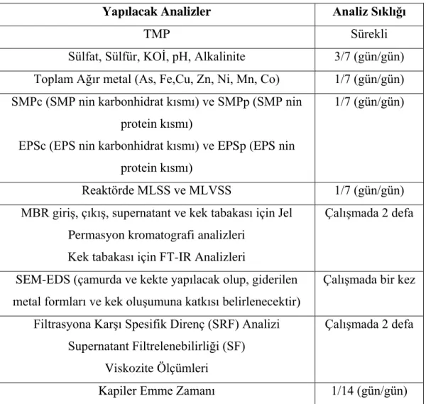Tablo 3.3. AeMBR’de yapılan analizler  