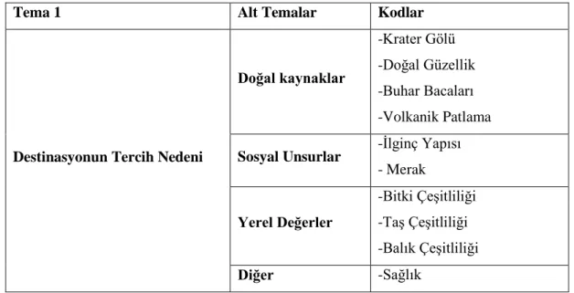 Tablo 4.2. Destinasyonun Tercih Nedeni 
