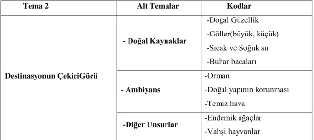 Tablo 4.6. Destinasyonun Çekici Gücü 
