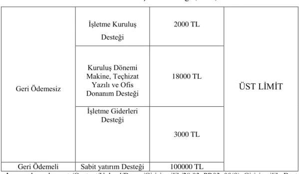 Tablo 2.1. Yeni Girişimci Desteği (2018) 