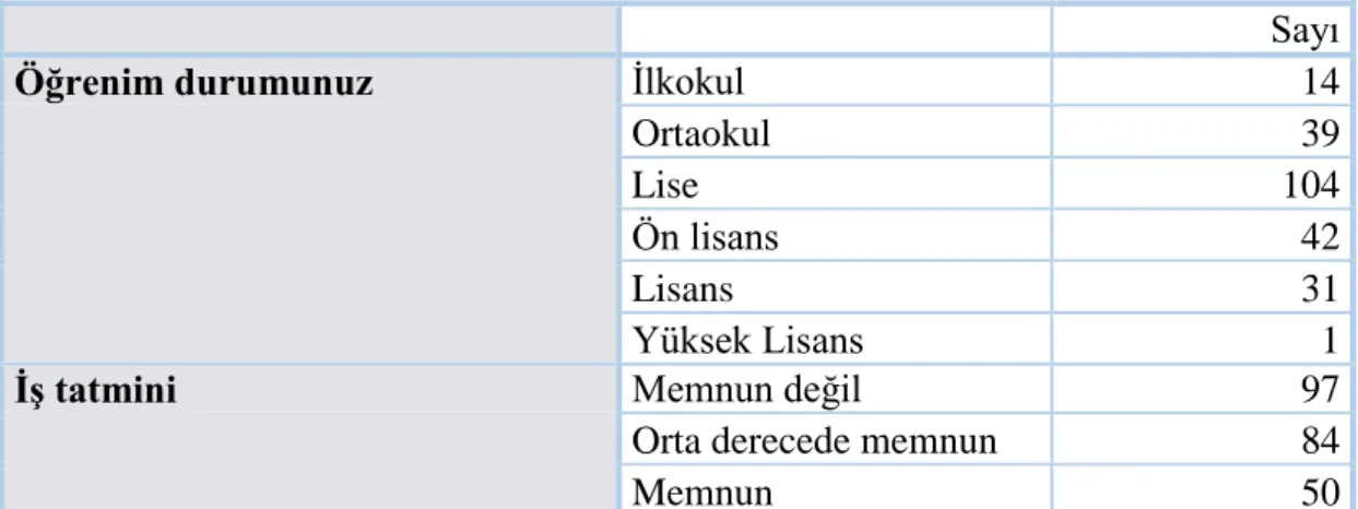 Tablo 13. İş tatmini ve eğitim durumu 