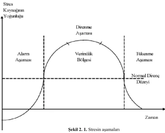Şekil 2. 1. Stresin aşamaları 