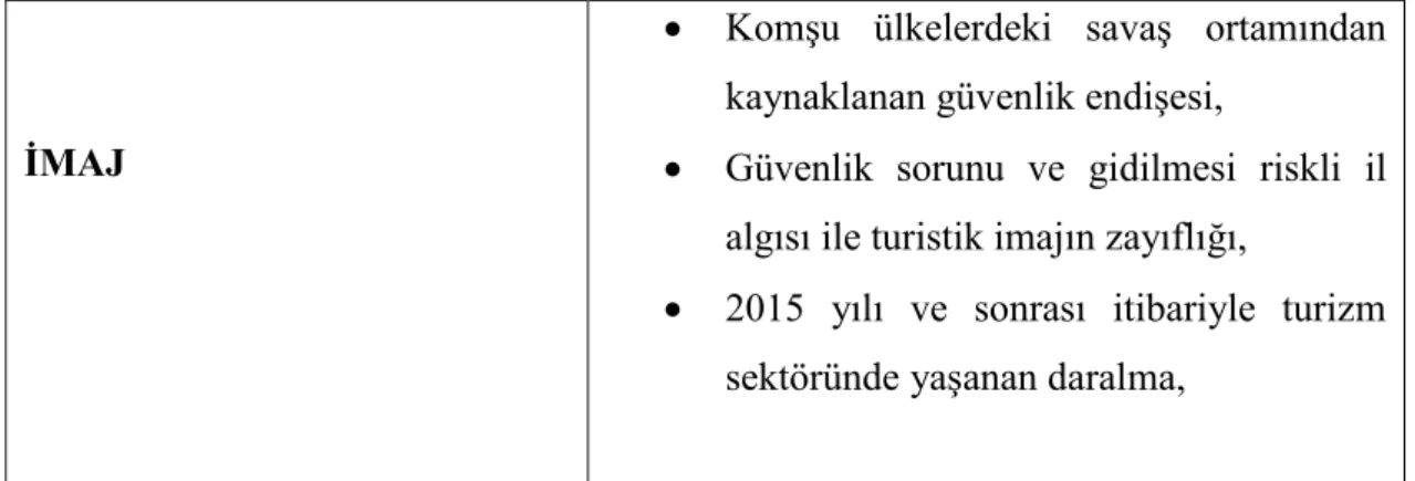 Tablo  4.4.  Batman  ilinin  açık  alan  kültürel  rekreasyon  faaliyet  ve  alanlarının 