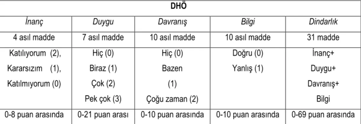 Şekil 1: DHÖ madde ve puanlama bilgileri 