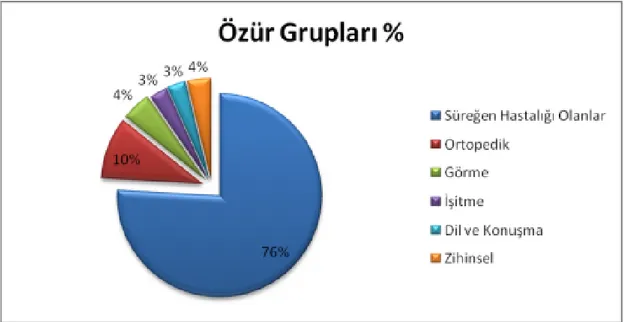 Şekil 2.1. Özür grupları  Kaynak: Köksal, 2010: 15. 