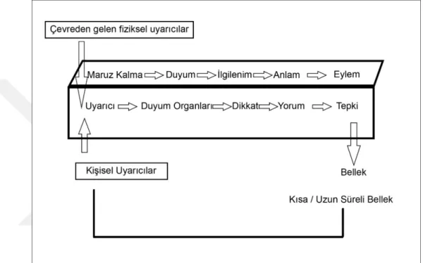 Şekil 2.4. Algılama Süreci  (Odabaşı ve Barış, 2017) 