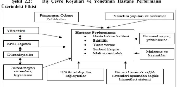 ġekil  2.2:        DıĢ  Çevre  KoĢulları  ve  Yönetimin  Hastane  Performansı  Üzerindeki Etkisi 