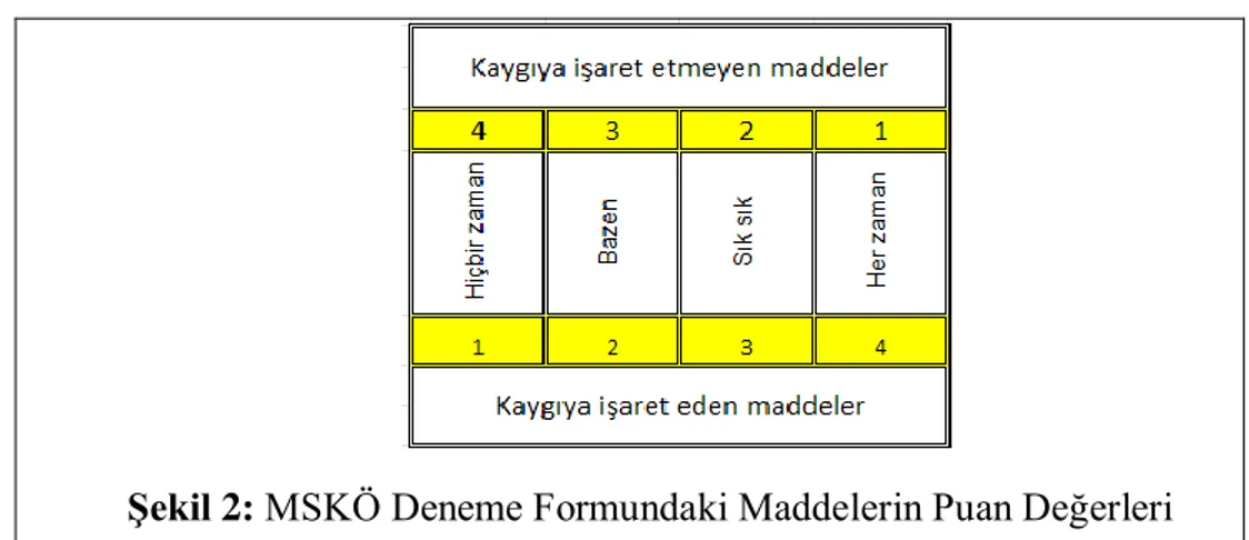 Şekil 2: MSKÖ Deneme Formundaki Maddelerin Puan Değerleri 