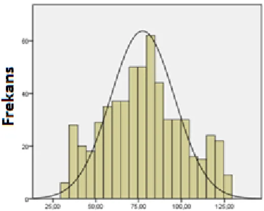 Şekil 2 Deneme Formu Puanlarına Ait Histogram 