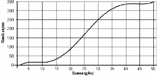 Grafik çizimi 