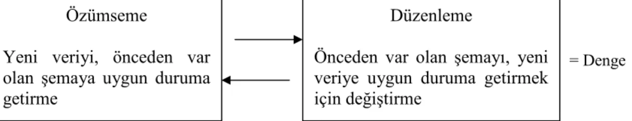 Şekil 1.2  Piaget’ye göre öğrenme süreci 