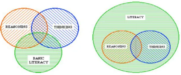Figure 2.2.  delMas’ (2002) models of statistical literacy. 