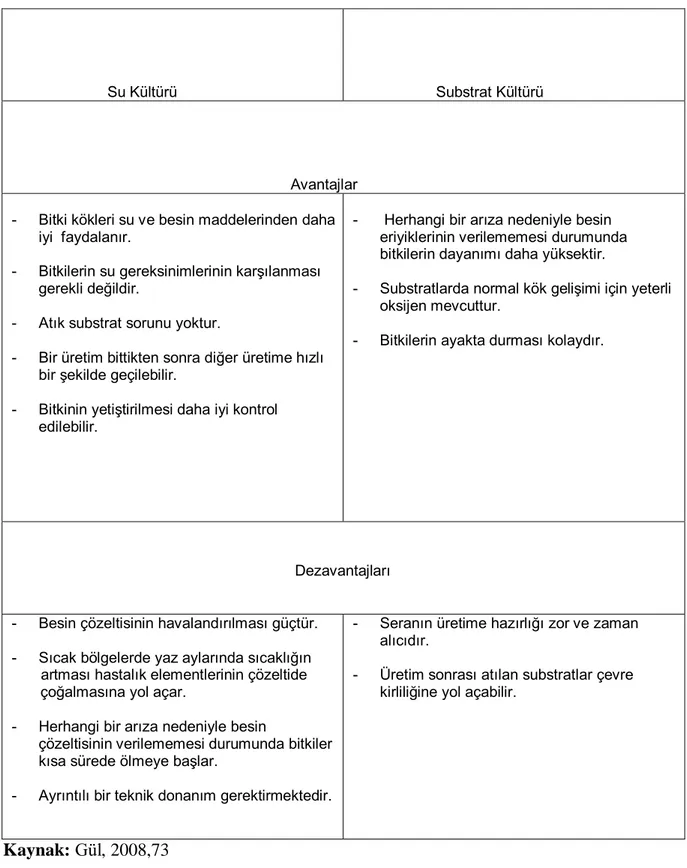 Çizelge  4. Su ve Substrat Kültürünün Karşılaştırılması 