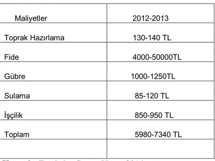 Çizelge 5.Geleneksel Yöntemle  Çilek Yetiştirmenin 2012-2013 Dönemindeki                      Maliyeti        Maliyetler             2012-2013   Toprak Hazırlama             130-140 TL   Fide             4000-50000TL   Gübre             1000-1250TL   Sulam