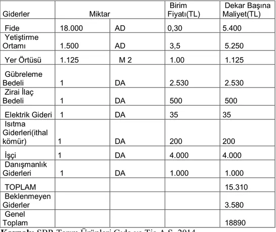 Çizelge 9 .Topraksız Çilek Yetiştiriciliği  Dekar Başına Maliyetleri  Giderler                  Miktar   Birim  Fiyatı(TL)   Dekar Başına Maliyet(TL) 