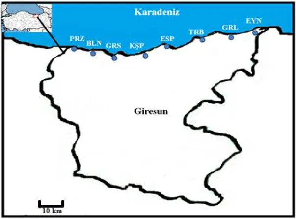Şekil  2.1.  Örnekleme  İstasyonlarının  Haritada  Gösterimi:  Piraziz  (PRZ),  Bulancak  (BLN), Merkez (GRS), Keşap (KŞP), Espiye (ESP), Tirebolu (TRB), Görele (GRL)  ve Eynesil (EYN) 