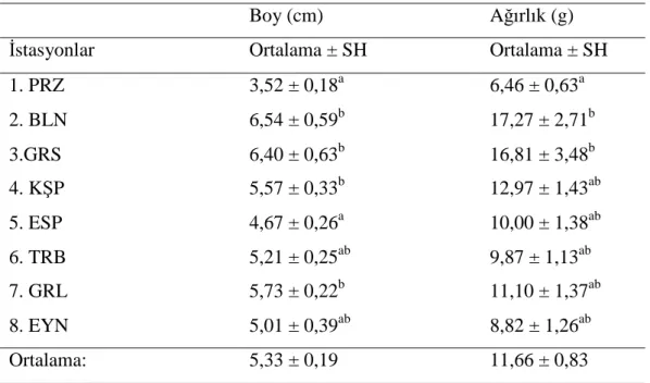 Tablo 3.1. İstasyonlara Göre Ortalama Boy - Ağırlık Değişimi ve SH, Sütunlardaki  Farklı Harfler (a, b, c) İstatistiksel Farklılıkları Göstermektedir (p&lt;0.05) 