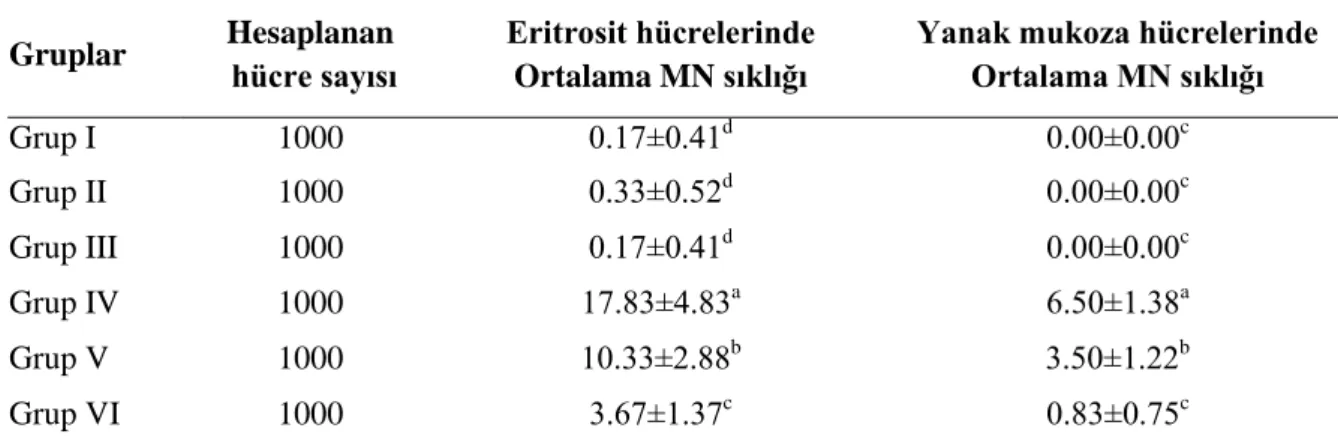 Tablo 2. Amonyum Sülfat’ın eritrosit ve yanak mukoza hücrelerinde teşvik ettiği mikronükleus (MN) sıklığı 