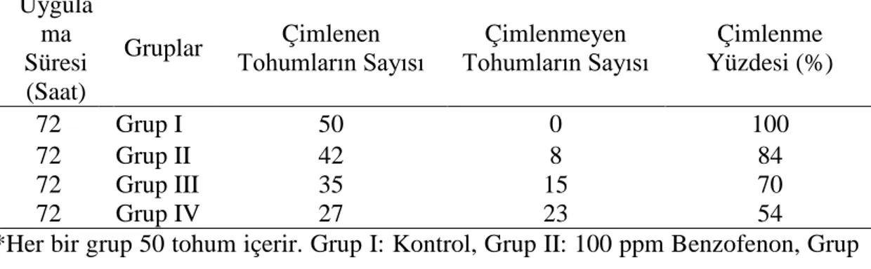 Tablo 3.1 Benzefenon uygulamasının tohum çimlenme yüzdesi üzerine etkileri   Uygula ma  Süresi  (Saat)  Gruplar  Çimlenen  Tohumların Sayısı  Çimlenmeyen  Tohumların Sayısı  Çimlenme  Yüzdesi (%)      72          Grup I  50  0  100      72              Gru