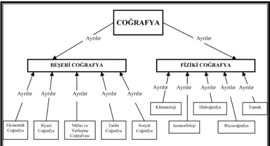 Şekil 1. Coğrafyanın Bölümleri Kavram Haritası