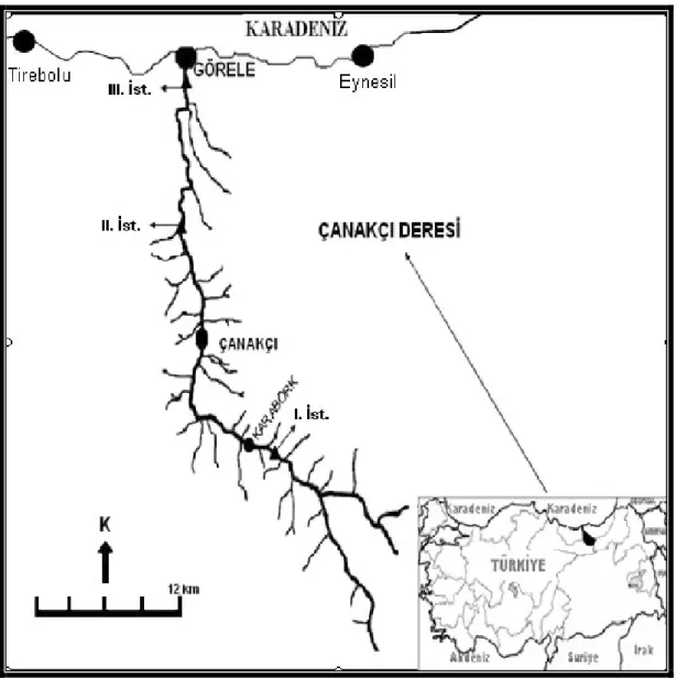 Şekil 2.1. Çanakçı Deresi  
