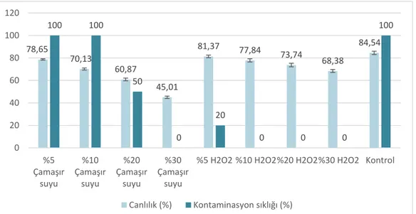 Şekil 1. Tohumların sterilizasyon sonrası canlılık oranları ve kontaminasyon sıklıkları  Bu  sonuçlara  göre,  Hidrojen  peroksitle  yapılan 