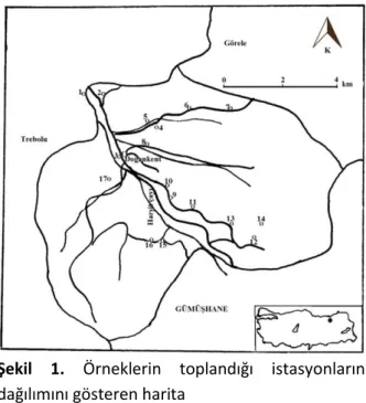 Şekil  1.  Örneklerin  toplandığı  istasyonların 