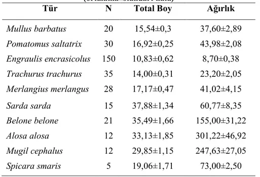 Tablo 3.1: İstasyonlardan örneklenen balık türlerinin boy ve ağırlık değerleri  (ortalama±standart hata) 