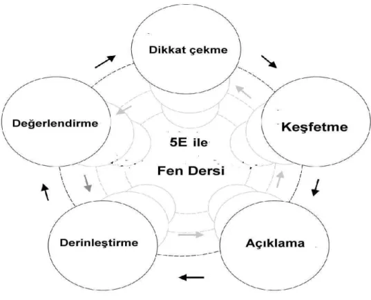 Şekil 1.1. 5E Öğrenme Döngüsünün Basamakları (Ekici, 2007). 