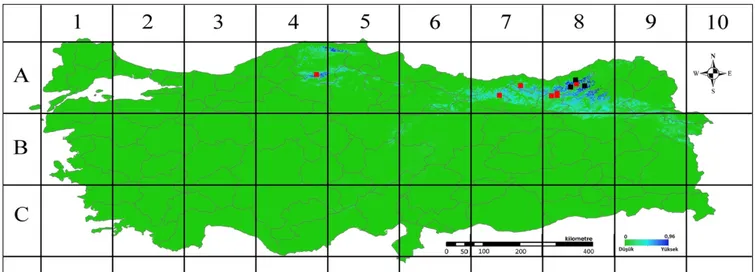 Şekil 2. L. boissieri’nin Türkiye’de tespit edilen alanları ve muhtemel yayılış alanları ( ■ : Bu çalışmada tespit edilen noktalar,  ■: Literatürden derlenen noktalar)