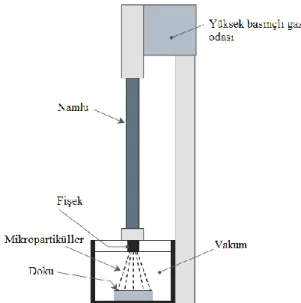 Şekil 3. Gen tabancası (Rivera et al., 2012). 
