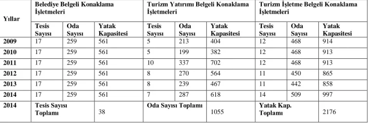 Tablo 2. Giresun'da 2005-2014 Yılları Arasında Konaklayan Yerli ve Yabancı Turist Sayıları 
