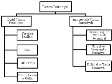 Şekil 1. Turizm Potansiyeli Yapısı 