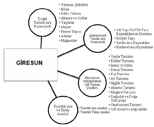 Şekil 2. Giresun İli'nin Turizm Potansiyel Yapısı 