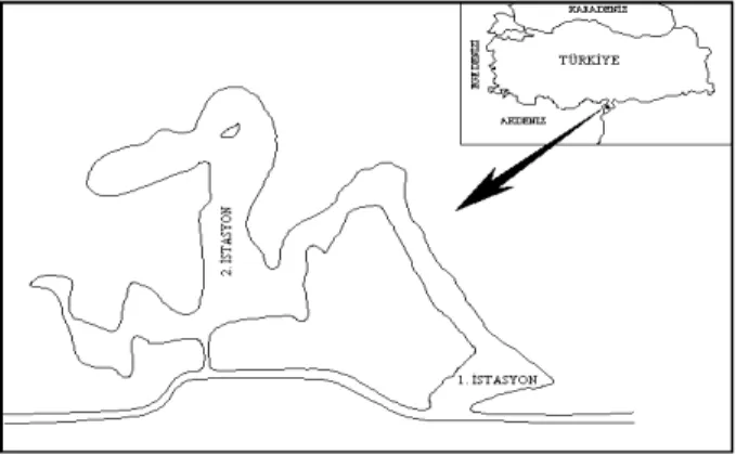 Şekil 1. Gölbaşı Gölünün Haritası 