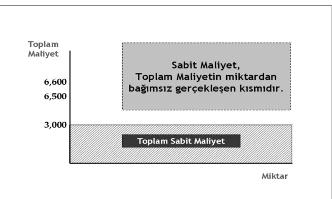 Şekil 1. Sabit Maliyet Eğrisi