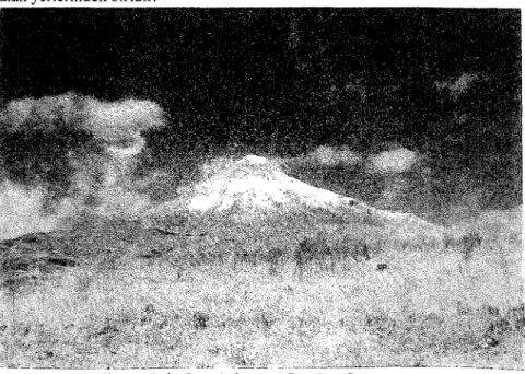 Foto 1. Igdir Ovasi'ndanAgn Dagr'mn Gorunusu.