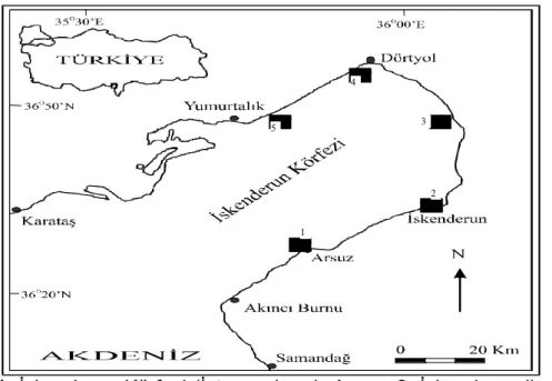 Şekil 1. İskenderun Körfezi (İstasyonlar; 1: Arsuz, 2: İskenderun liman bölgesi, 3:  İskenderun Demirçelik, 4: Dörtyol Botaş, 5: Petrotrans) 