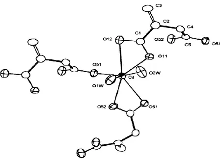 Şekil 1.7 [Cd(ita)(OH 2 ) 2 ] n  kompleksinin moleküler yapısı 