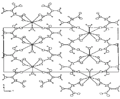 Şekil 1.10 [Ba(ita) 2 (OH 2 )] kompleksinin polimerik yapısı 