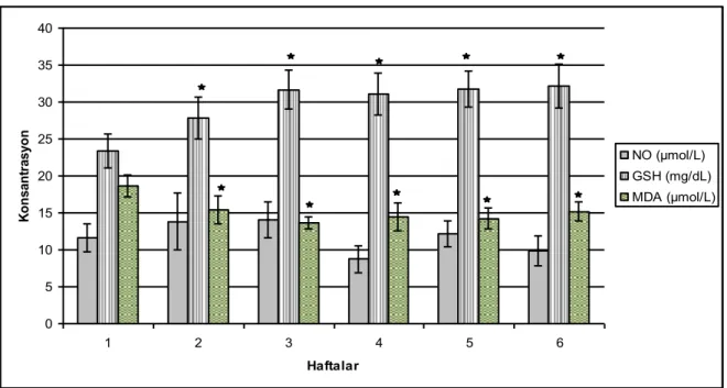 Şekil 1. Anser anser ırkı kazlarda N. sativa tohumu uygulamasının haftalara göre plazma nitrik oksit (NO), malondialdehit  (MDA) ve tam kan glutatyon (GSH) düzeylerine etkileri