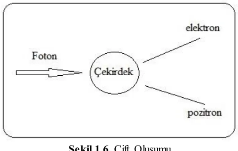 Şekil 1.6. Çift  Oluşumu