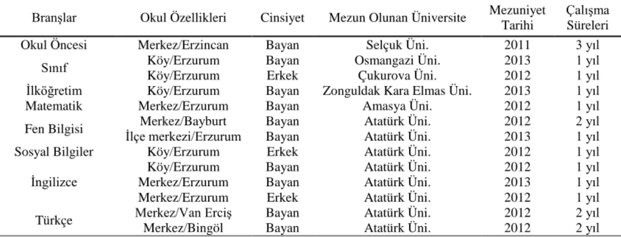 Tablo 1. Branşlara Göre İlk ve Ortaokullarda Görev Yapan Öğretmen Sayıları 