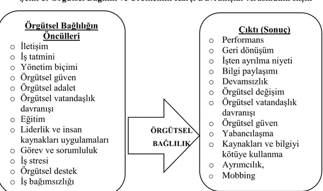 Şekil 1: Örgütsel Bağlılık ve Üretkenlik Karşı Davranışlar Arasındaki İlişki 