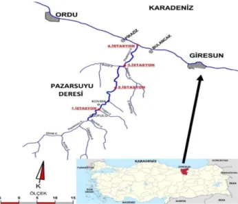 Figure 1 Site Map and Stations of Pazarsuyu Stream 