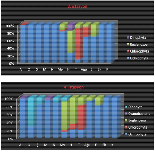 Şekil  3.10.  Sera  Gölü  3.  ve  4.  İstasyonlarda  Tespit  Edilen  Divizyoların  Mevsimsel  Değişiminin Yüzde (%) Gösterimi 