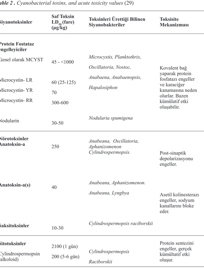 Tablo 2 . Siyanobakteriyel toksinler ve akut toksisite değerleri (29) Table 2 . Cyanobacterial toxins, and acute toxicity values (29)