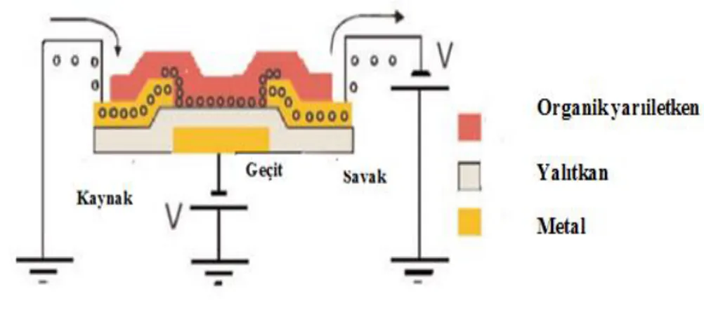 Şekil 1.9 Geçit, Savak ve Kaynak kontakların altta olduğu OTFT Ģeması