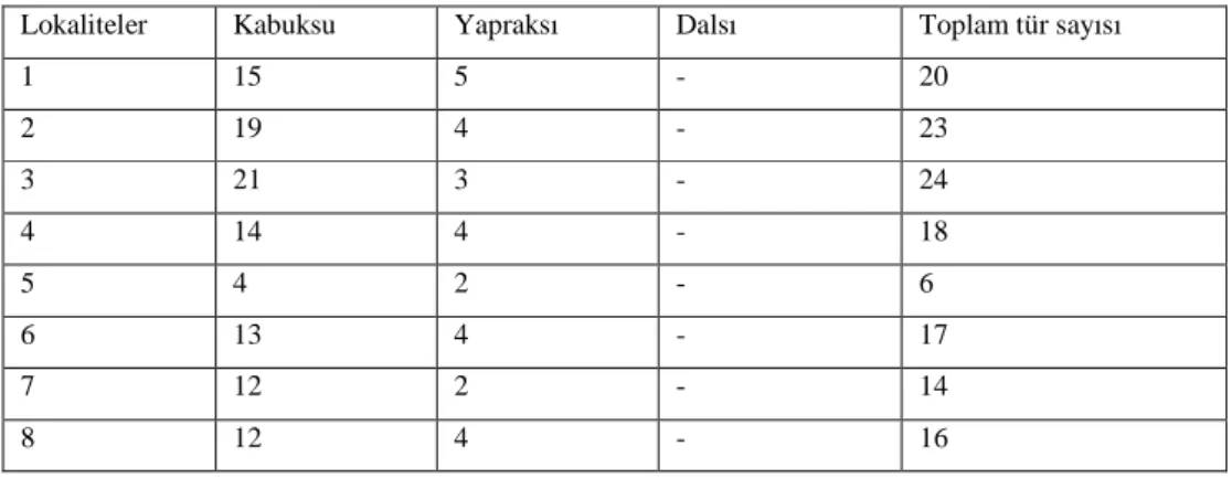 Tablo 1. Likenlerin büyüme formalarının lokalitelere göre dağılımı 