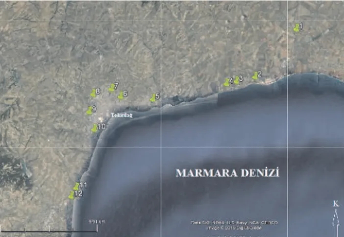 Şekil 1. Google-Earth 2015 görüntüsü üzerinde toprak örnekleme noktaları